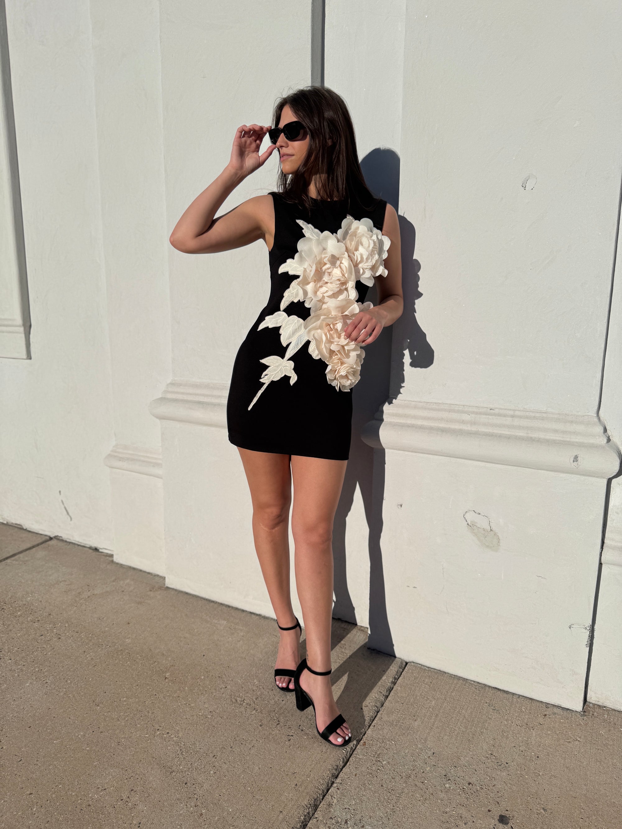 NWT Zahara Mini Dress