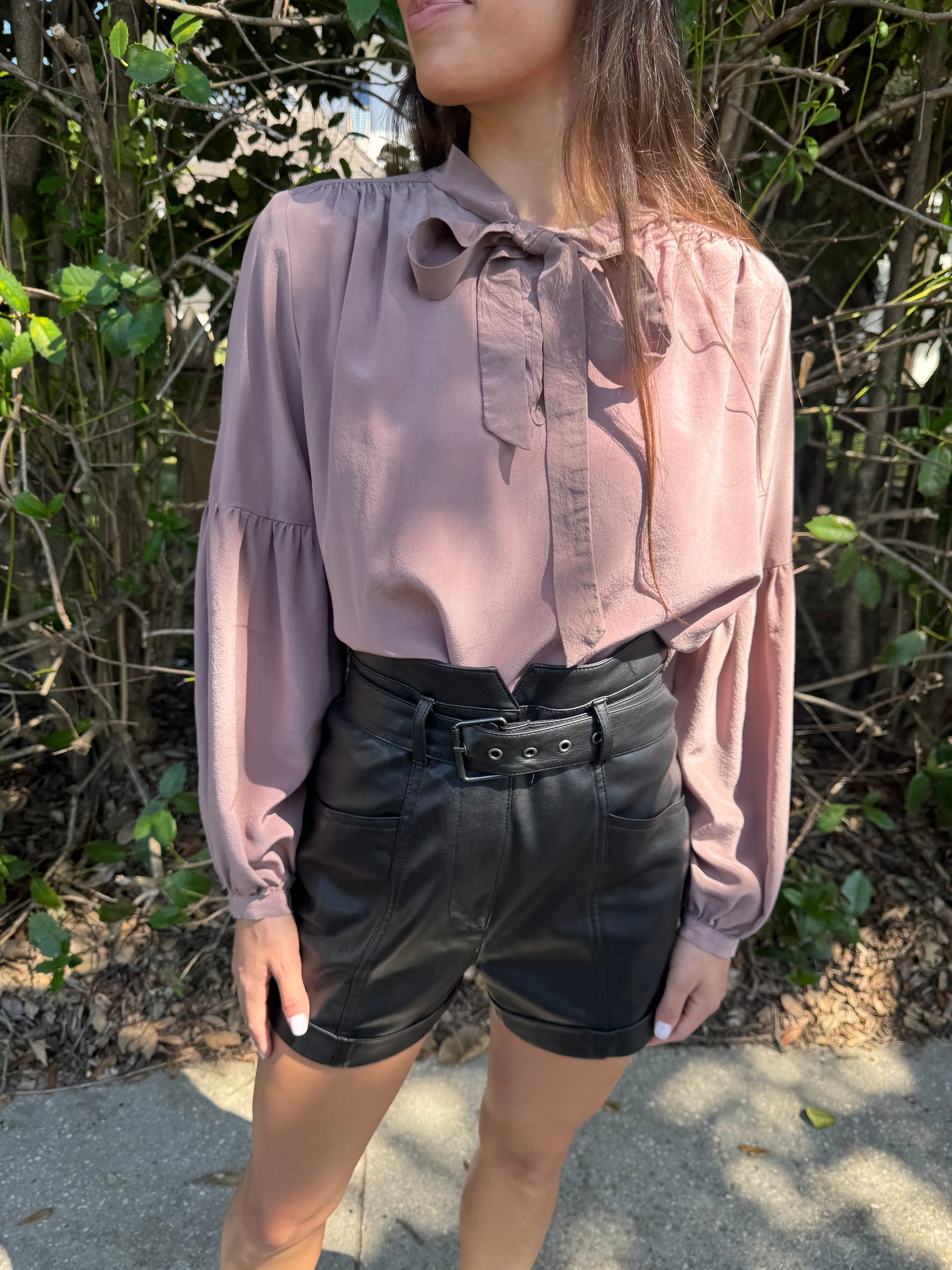 Mauve Tie Neck Blouse