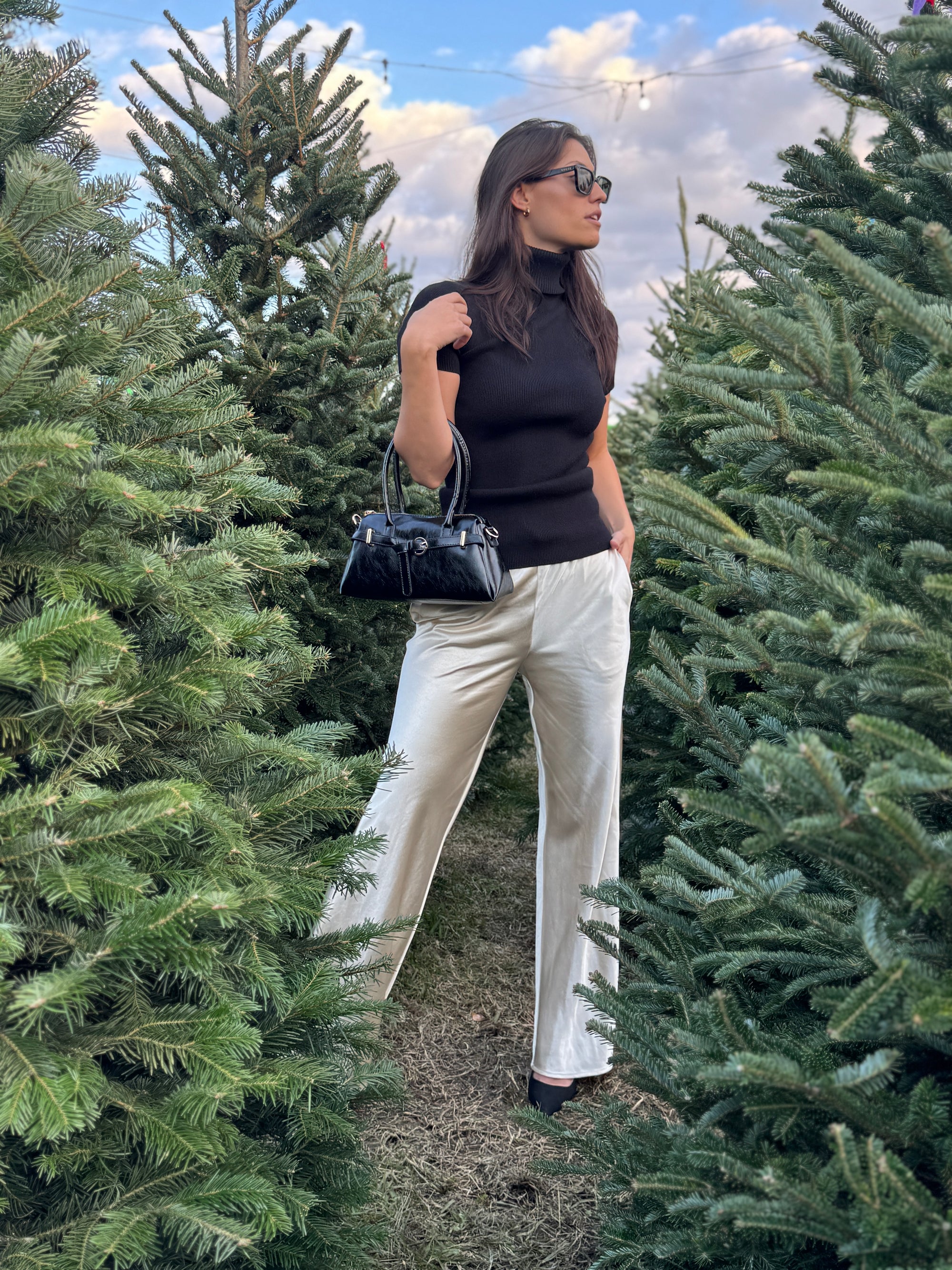 Champagne Satin Pants