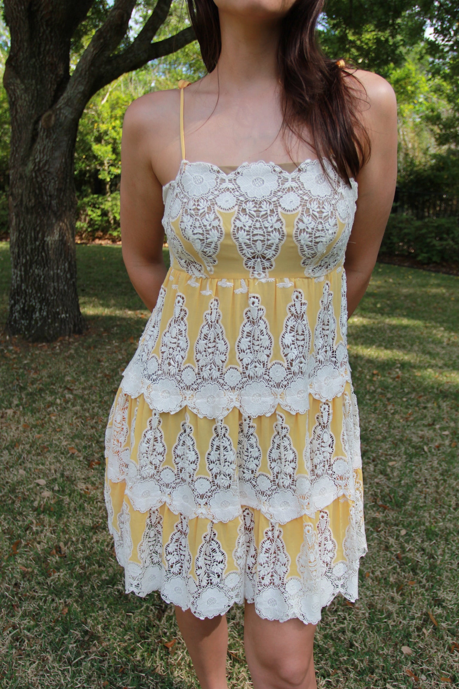 NWT Gwendolyn Yellow Hummingbird Dress