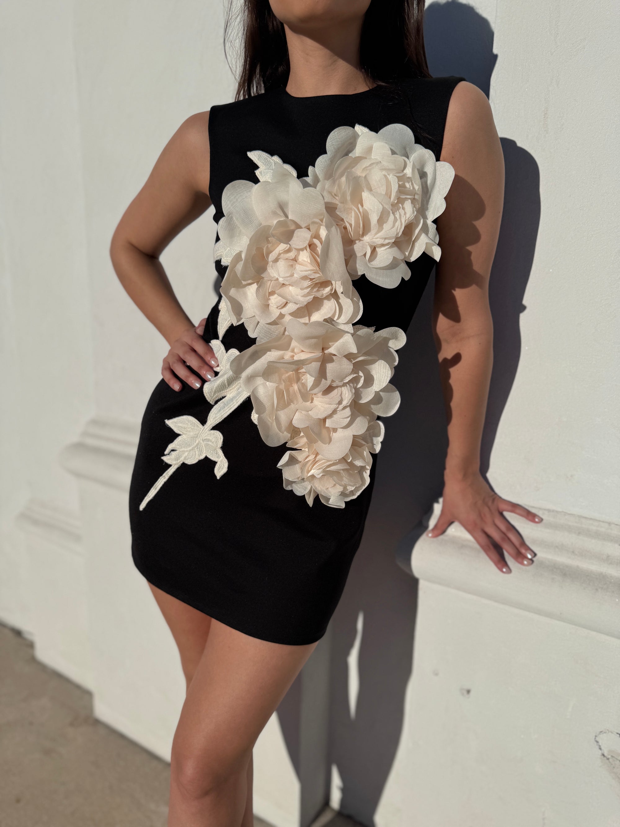 NWT Zahara Mini Dress