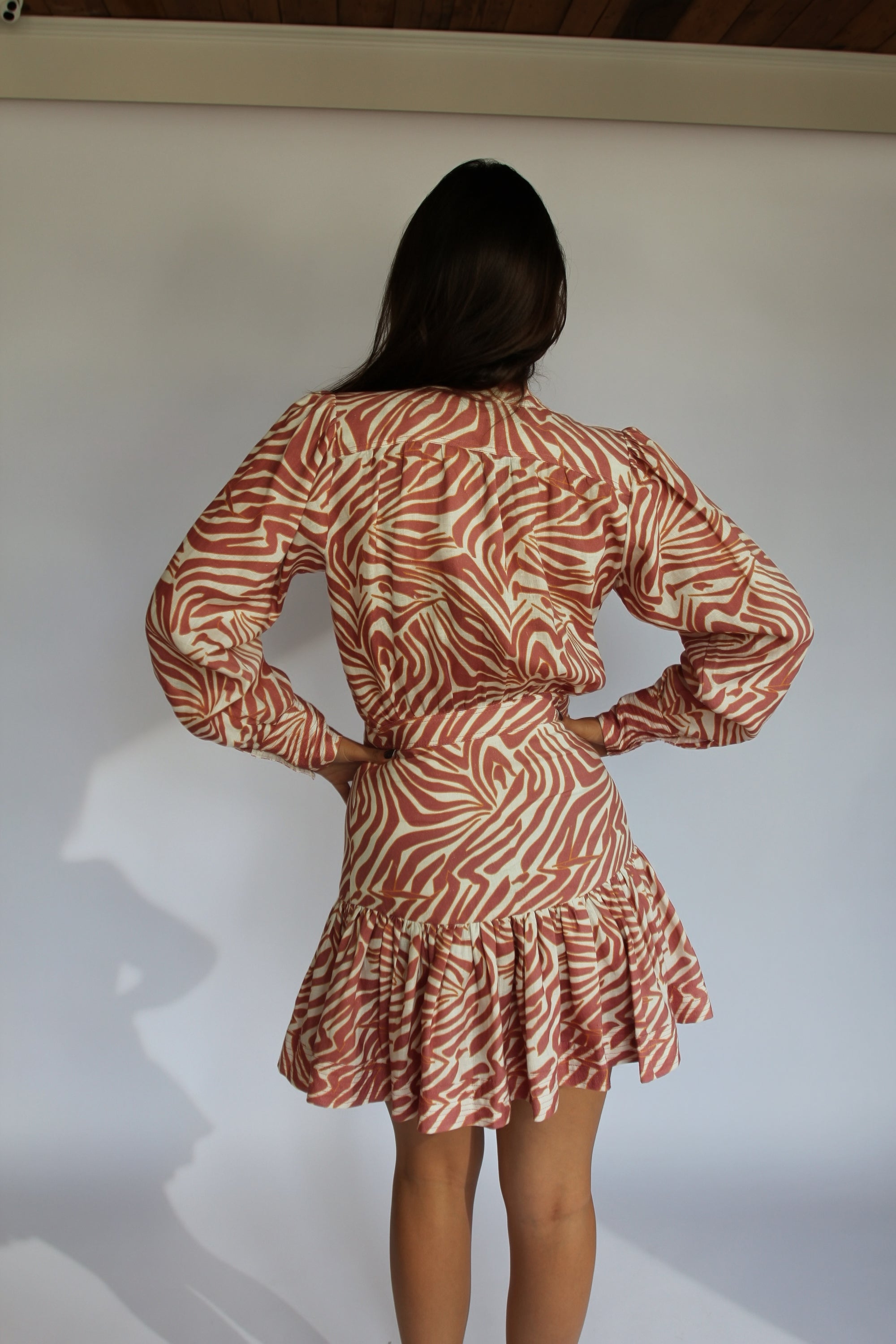 Karina Grimaldi Zebra Sand Dress