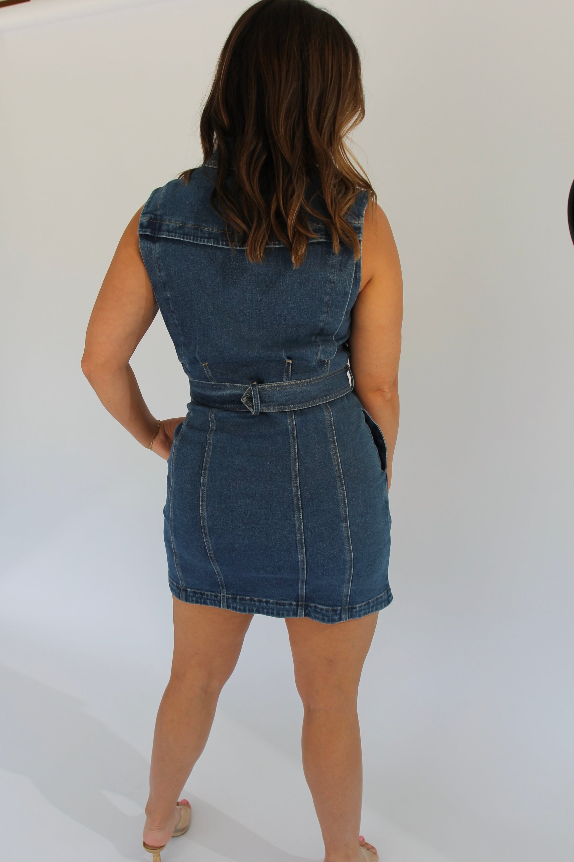 Karina Grimaldi Denim Dress