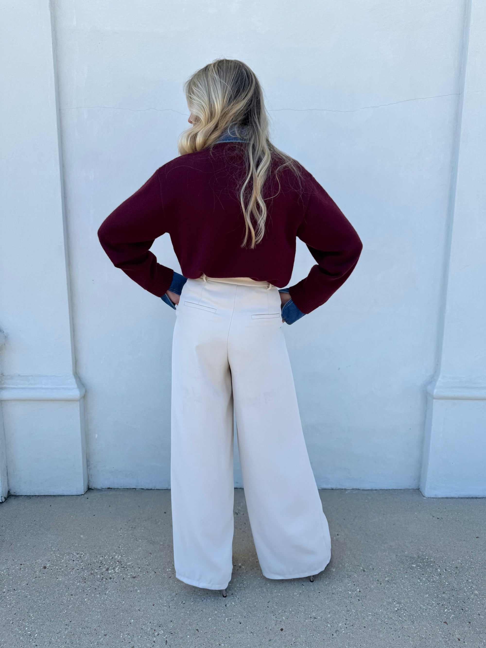Pleated Wide Leg Trouser
