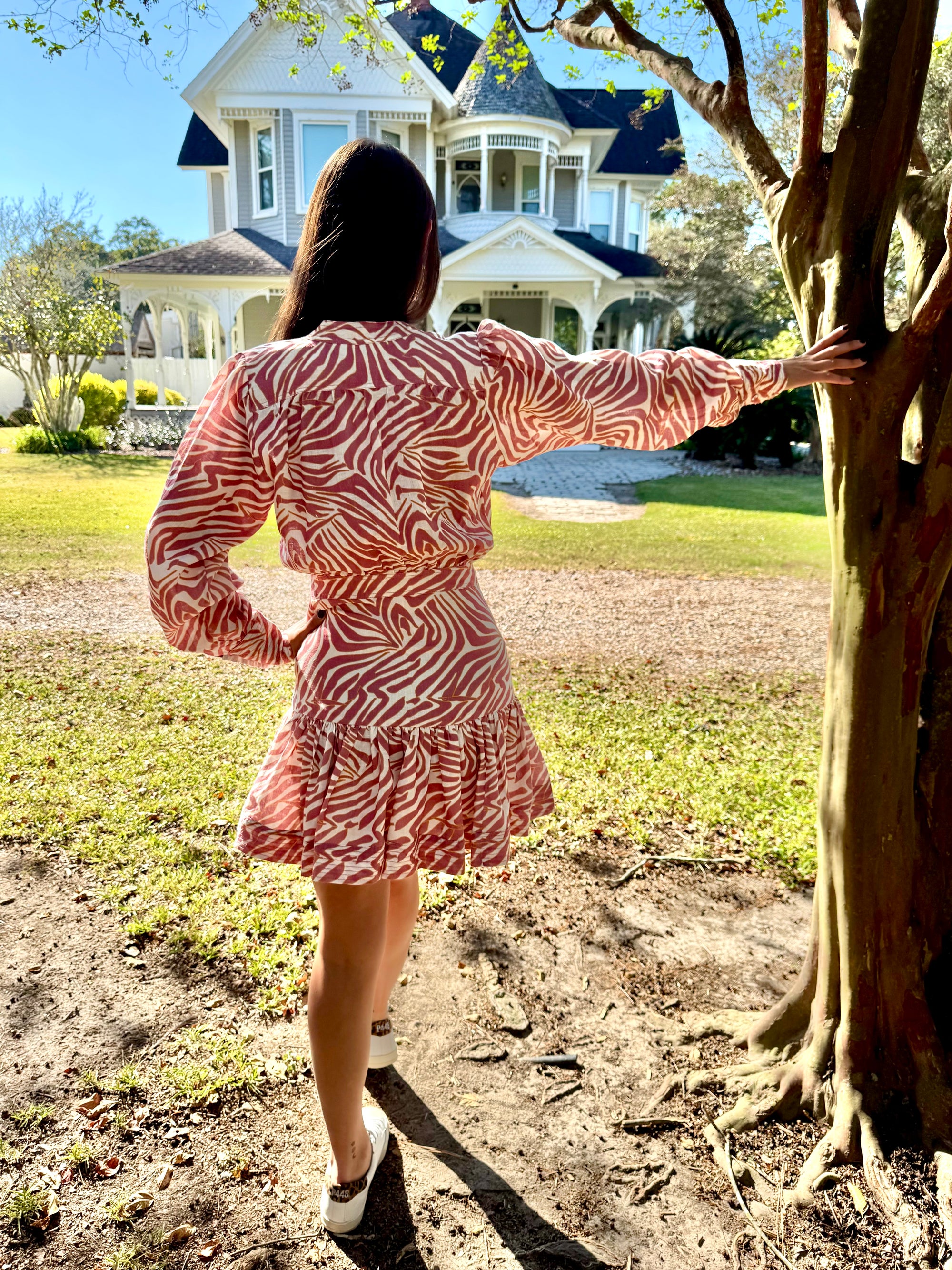 NWT Zebra Sand Dress