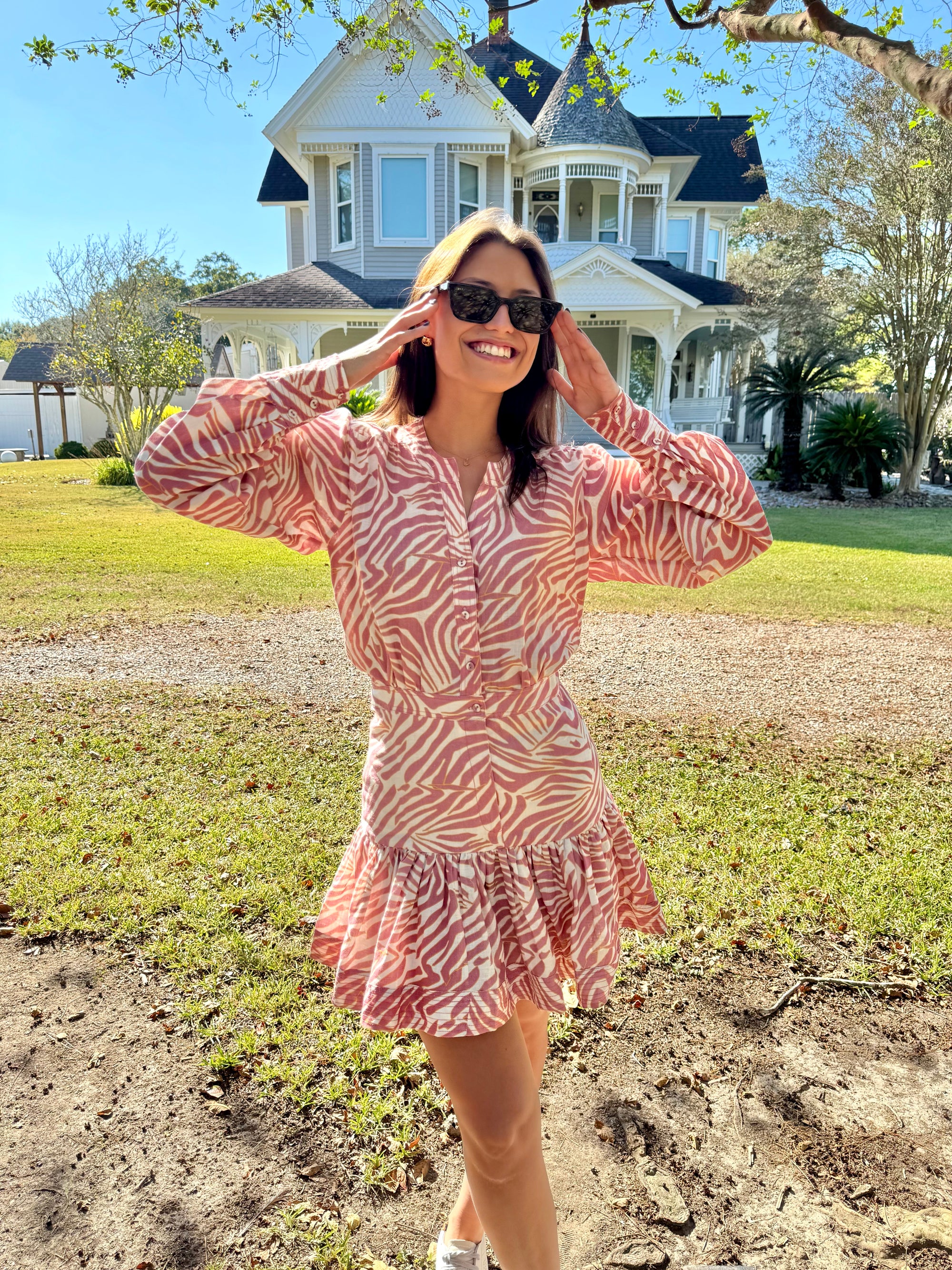 NWT Zebra Sand Dress