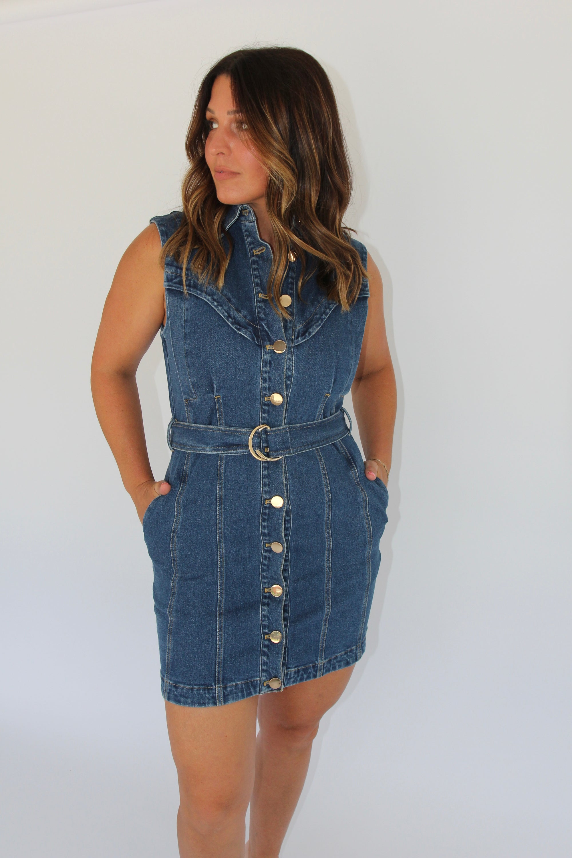 Karina Grimaldi Denim Dress