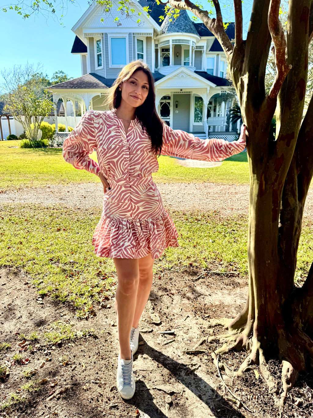 NWT Zebra Sand Dress