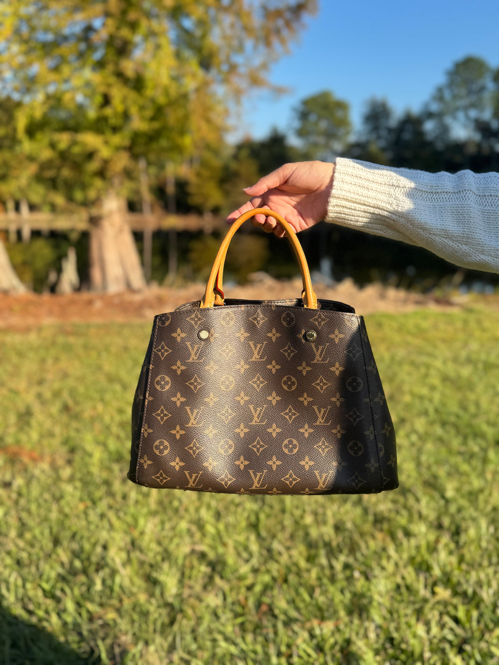 Louis Vuitton Montaigne MM Monogram Tote