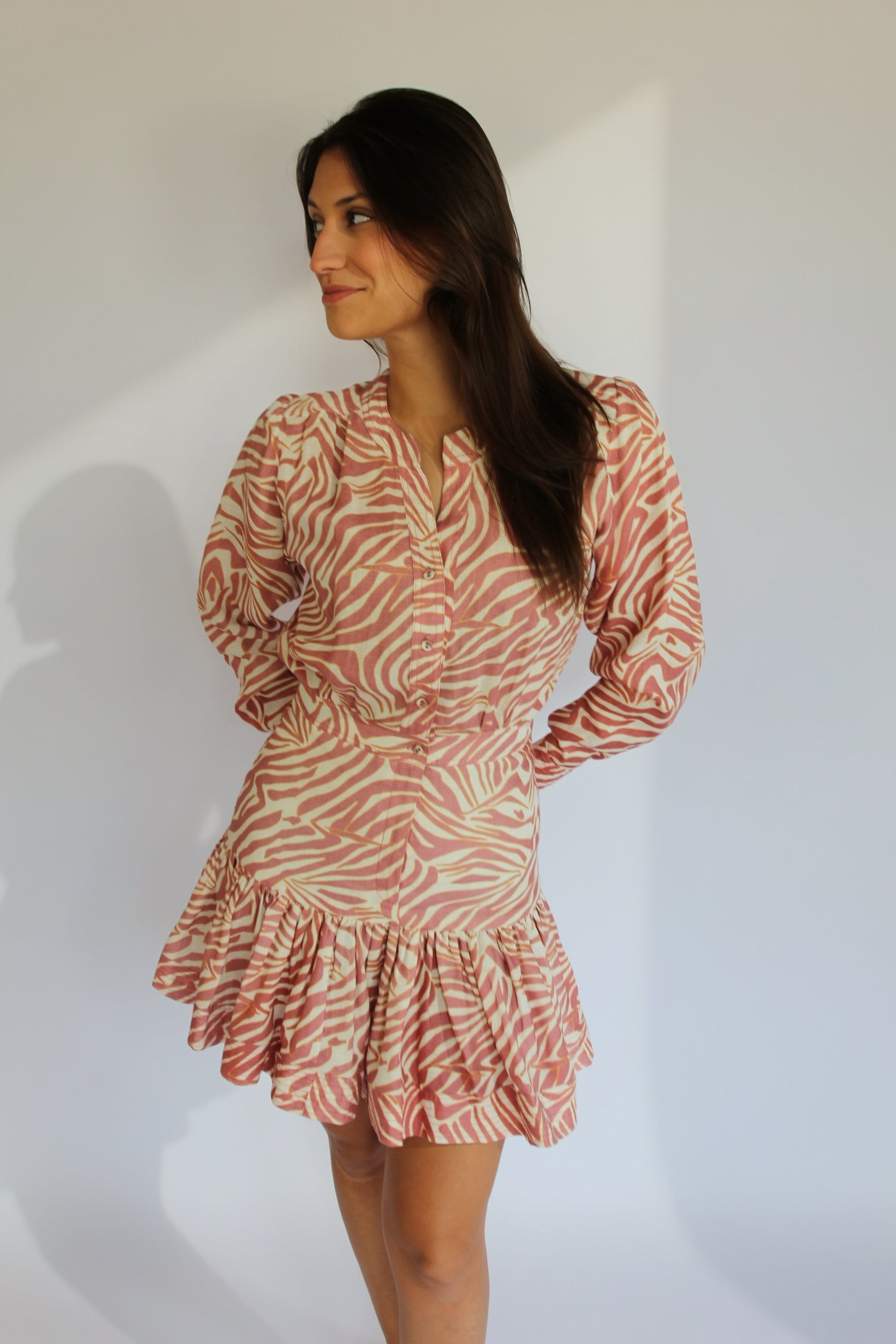 Karina Grimaldi Zebra Sand Dress