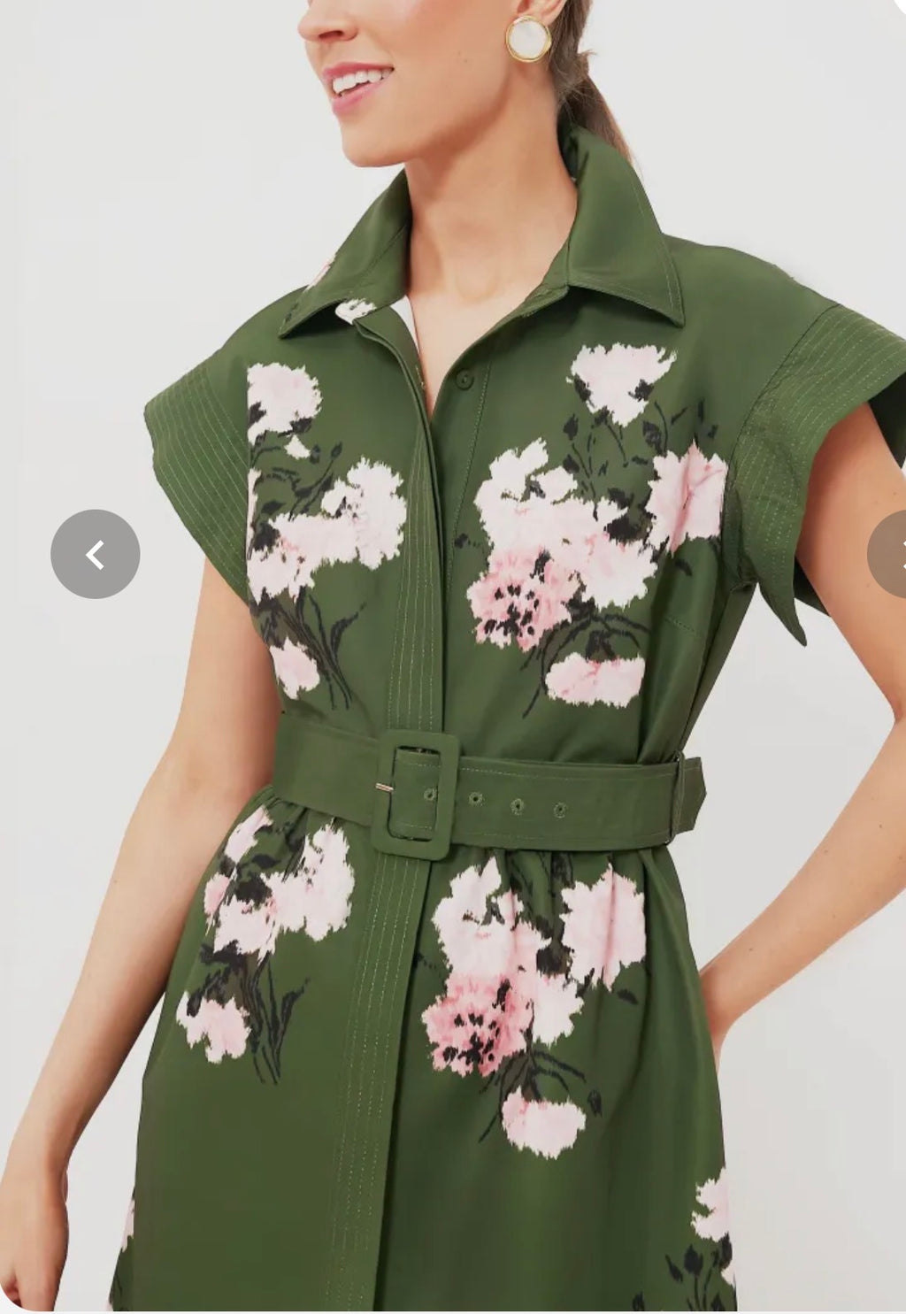 Tuckernuck Olive and Pressed Powder Floral Chloe Dress