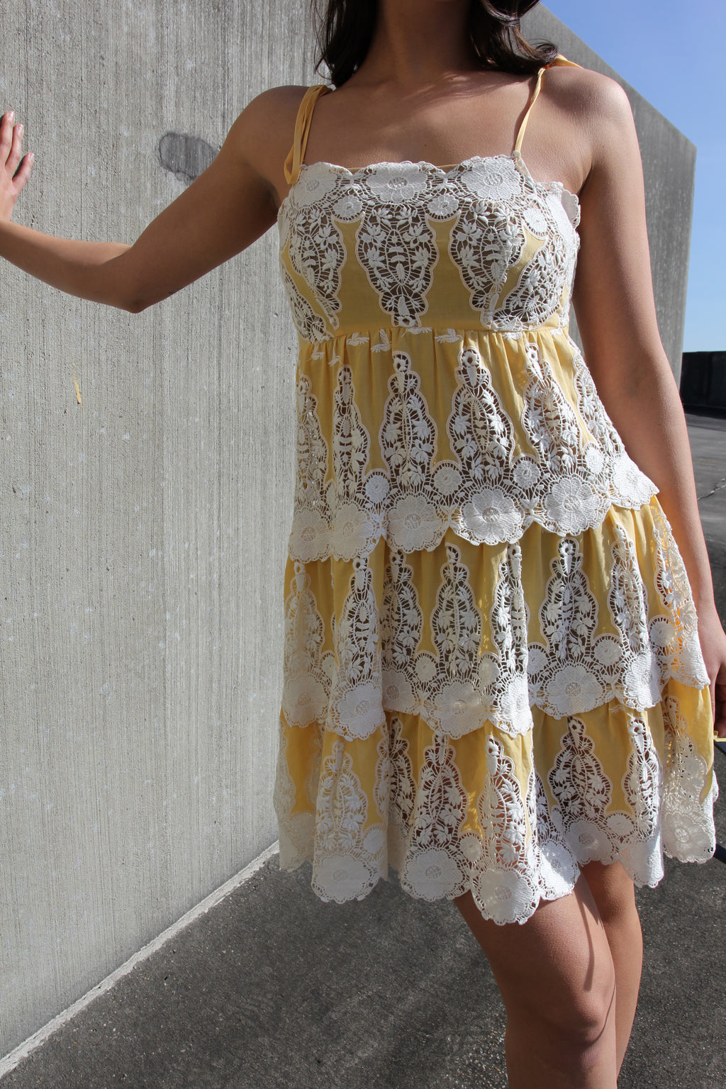 NWT Gwendolyn Yellow Hummingbird Dress