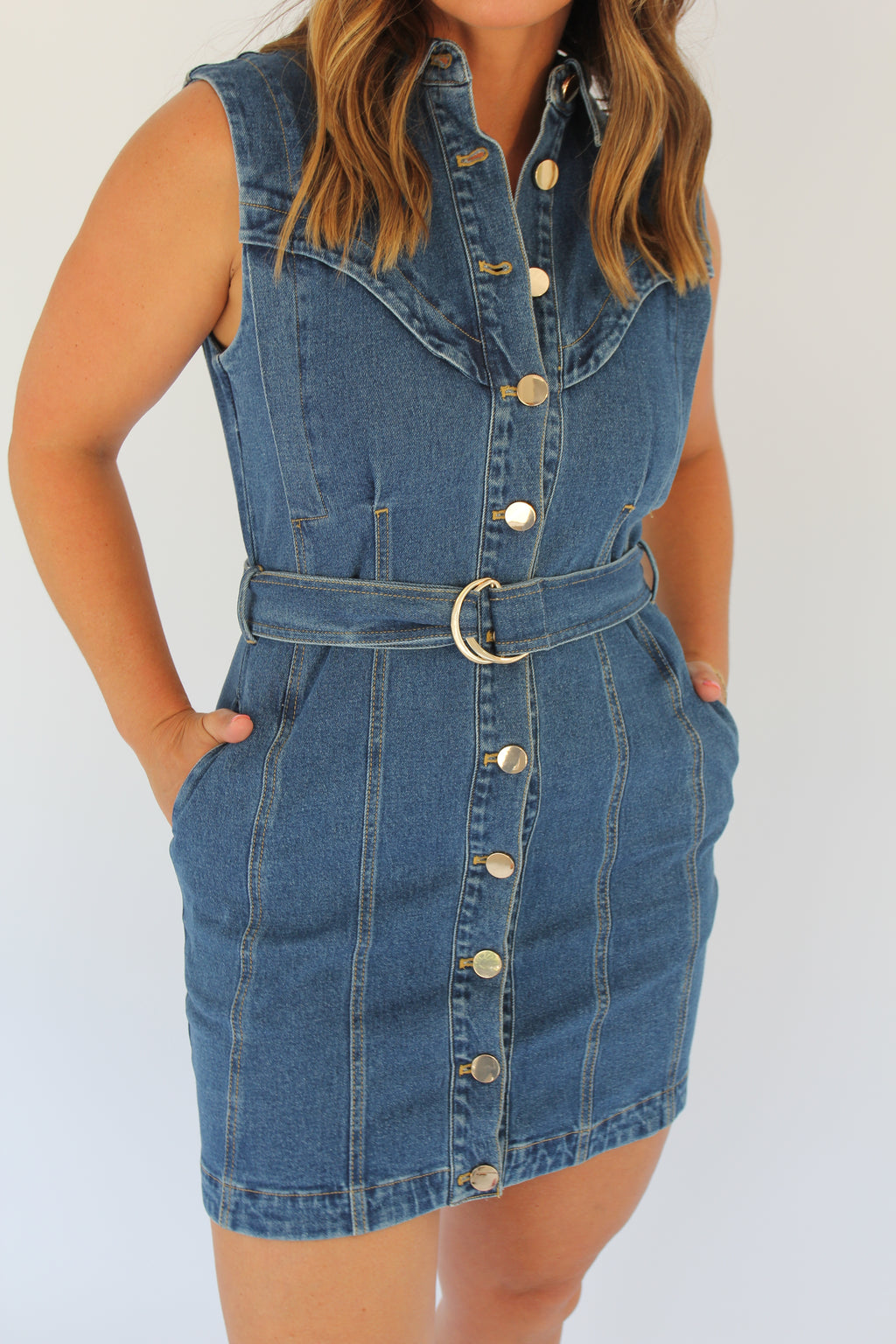 Karina Grimaldi Denim Dress – I Would Never