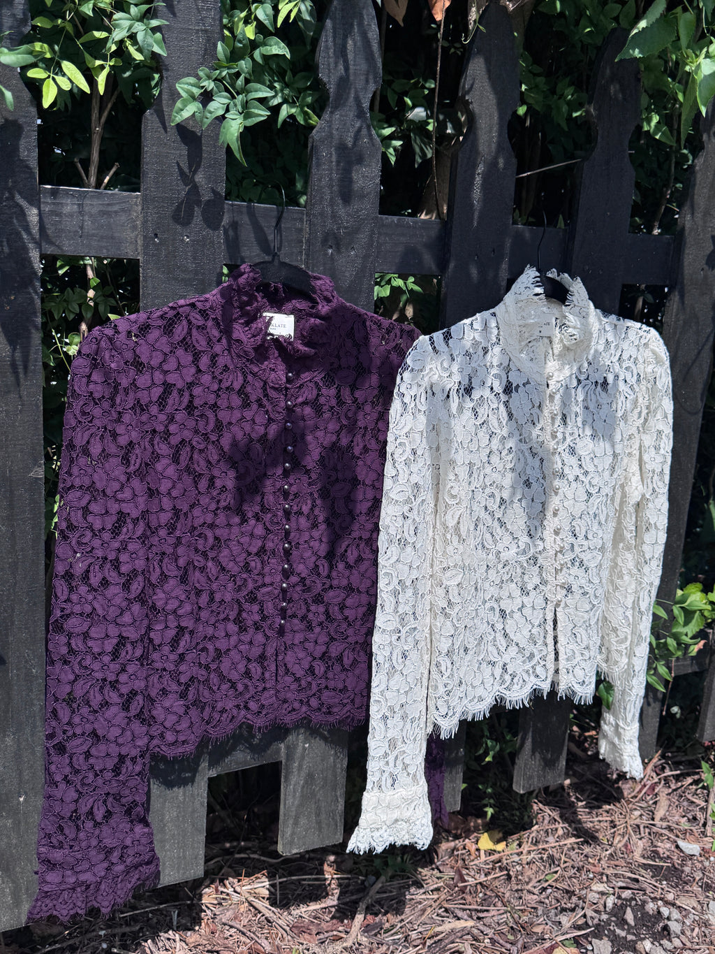IWN Lace Long Sleeve - Plum