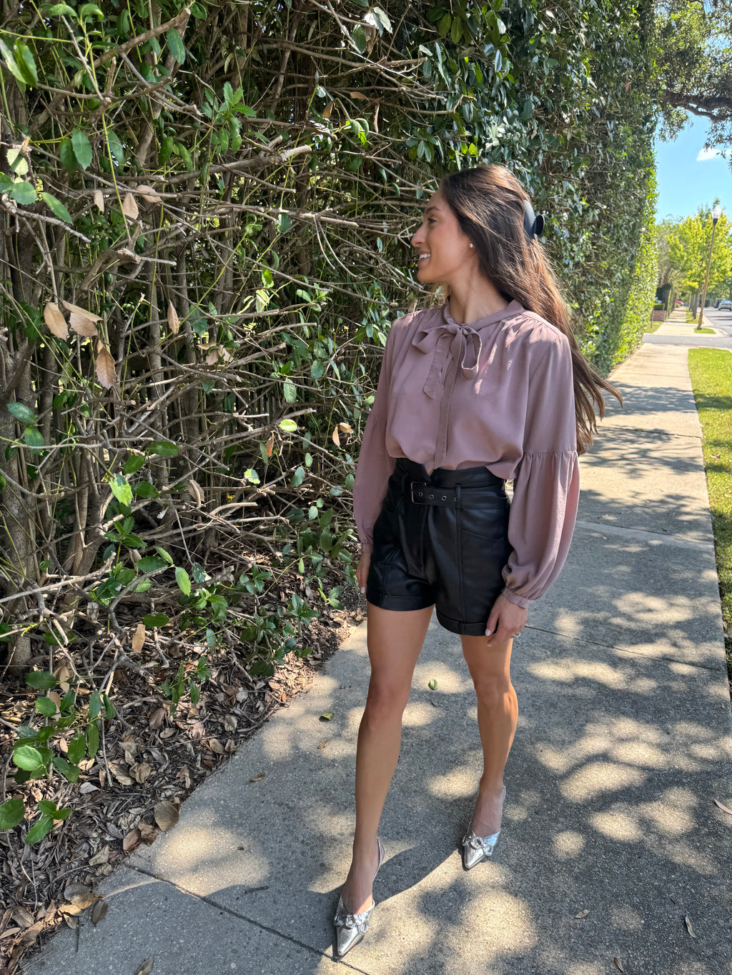 Mauve Tie Neck Blouse