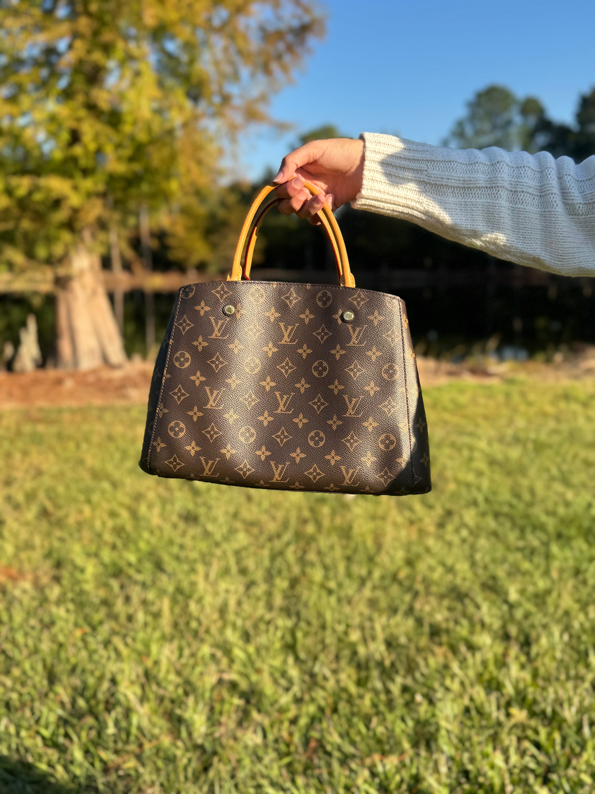 Louis Vuitton Montaigne MM Monogram Tote