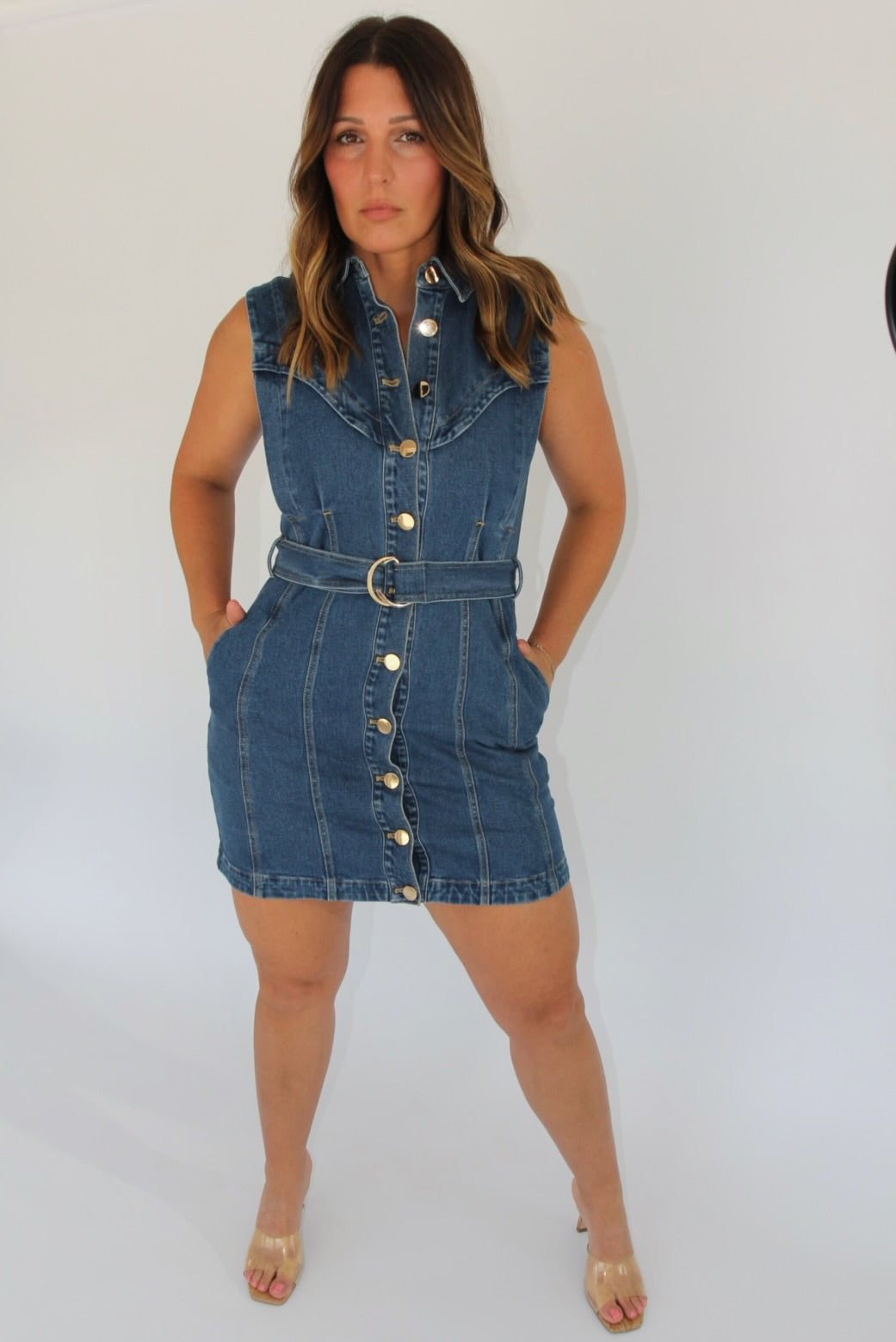 Karina Grimaldi Denim Dress