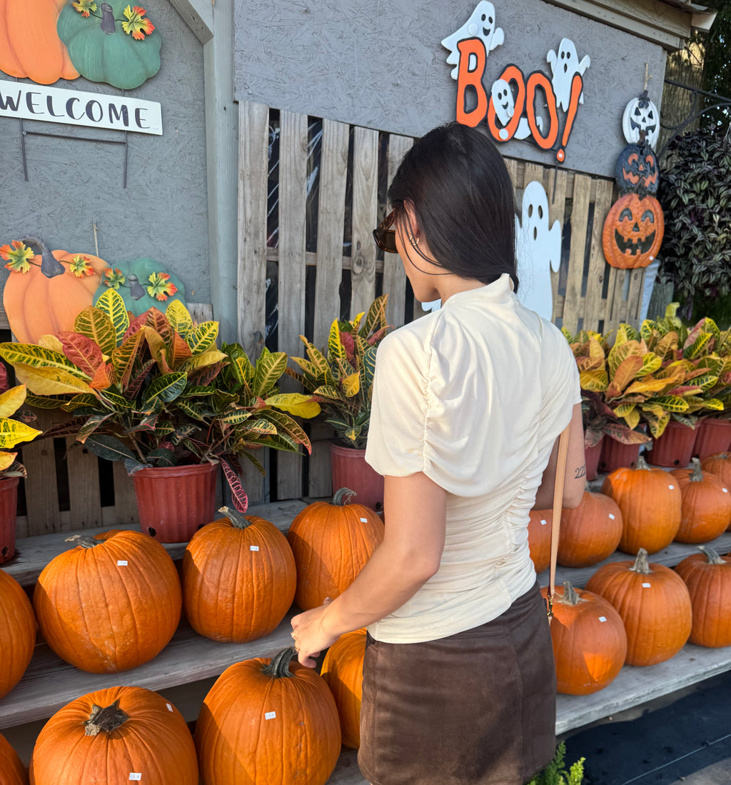 Beige Mesh Mock Neck Top