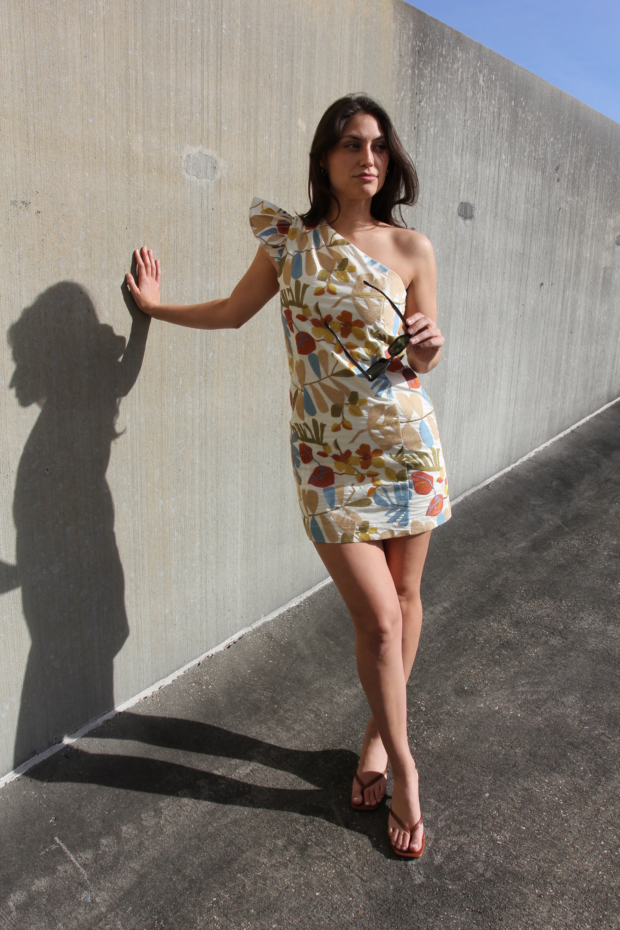 NWT Greylin Sophia Embroidered Dress