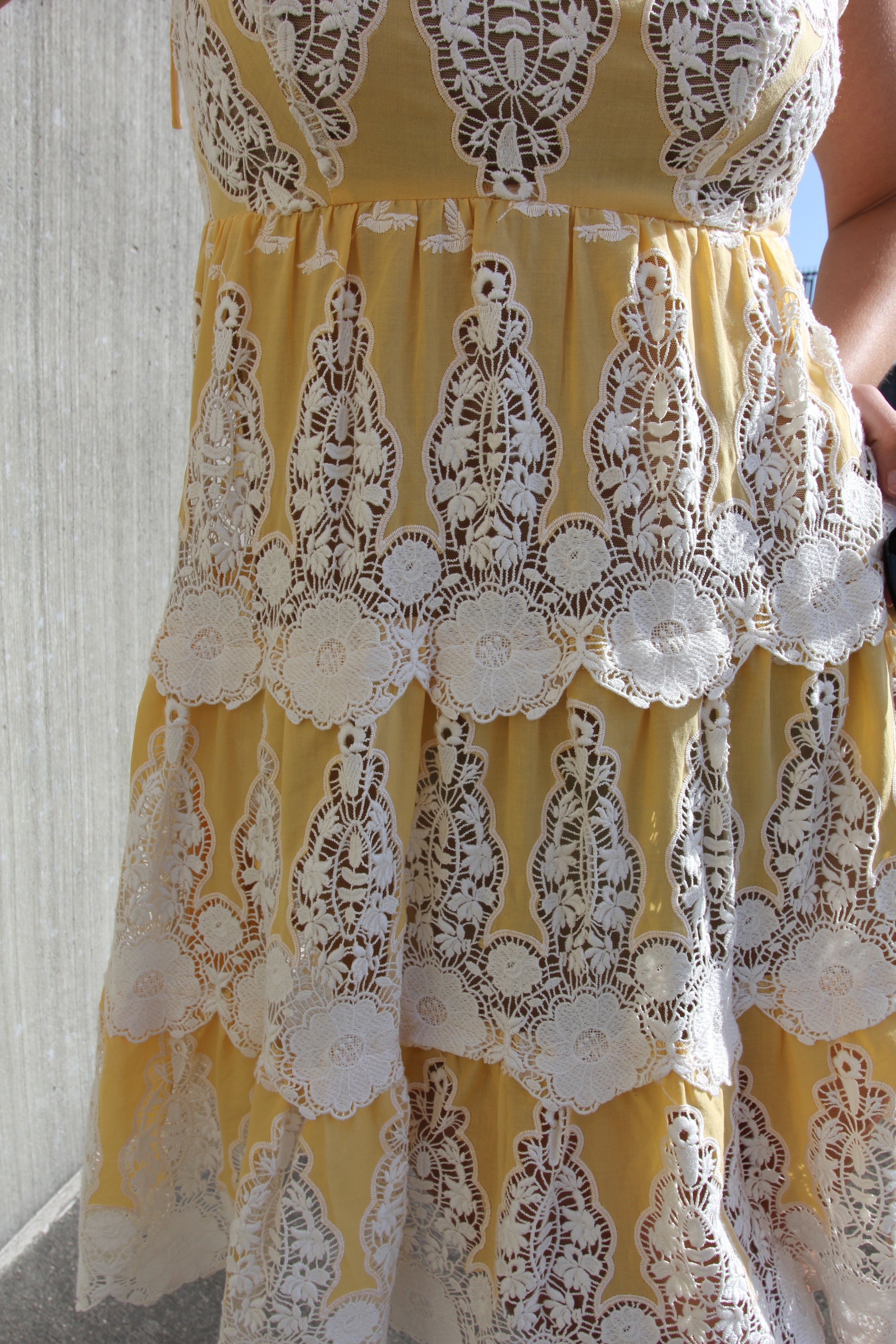 NWT Gwendolyn Yellow Hummingbird Dress