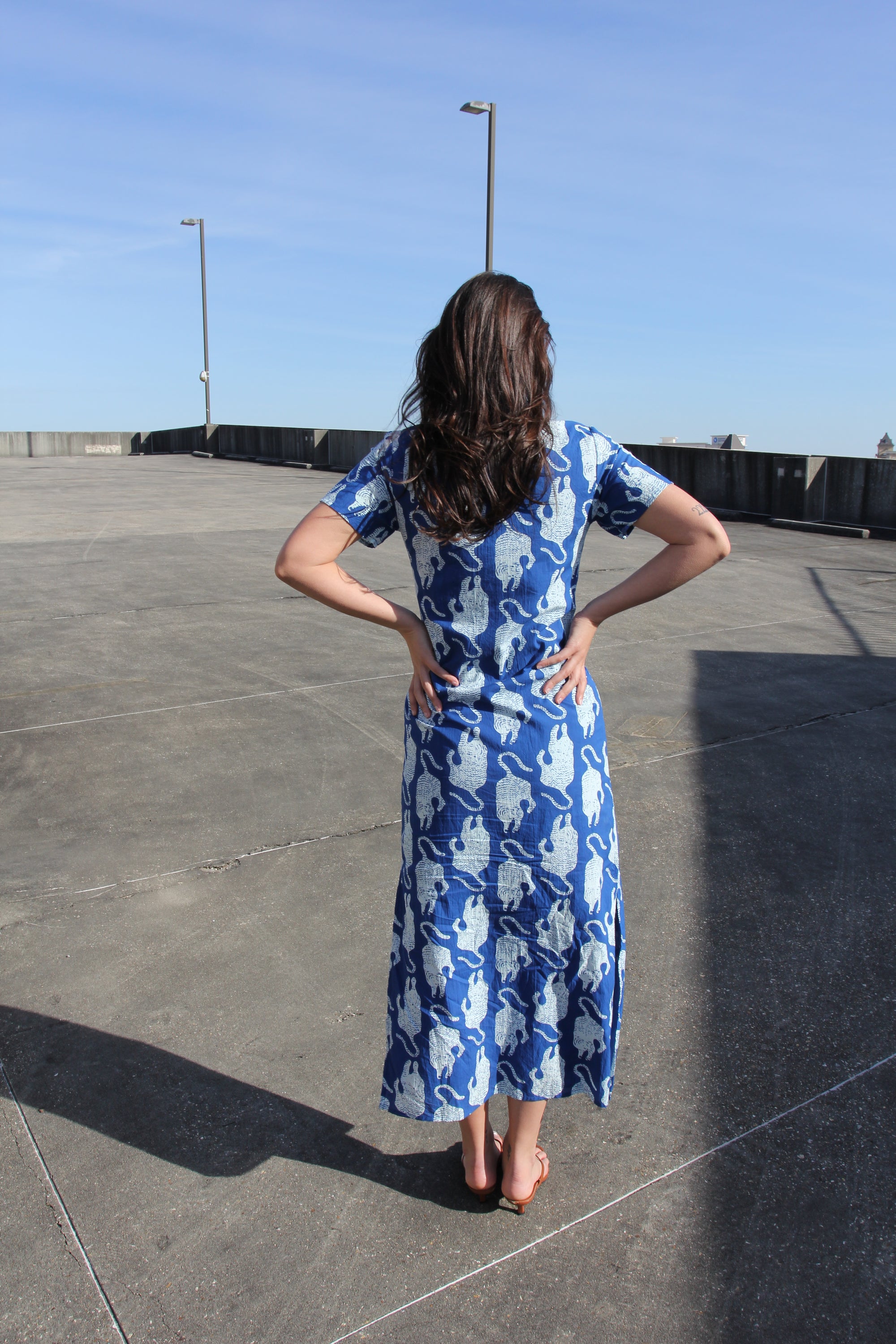 anna cate maxi dress Anna Cate Blue Tiger Print Maxi I Would Never
