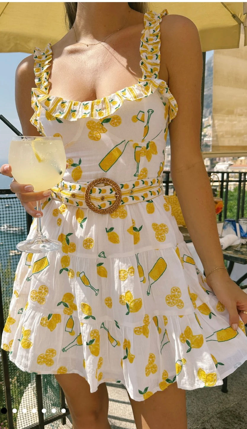 NWT Show Me Your Mumu Jolene Limoncello Dress