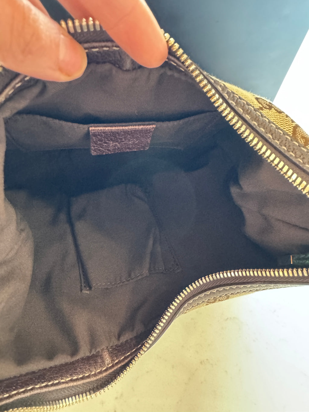 Gucci GG Canvas Princy Web Hobo Bag