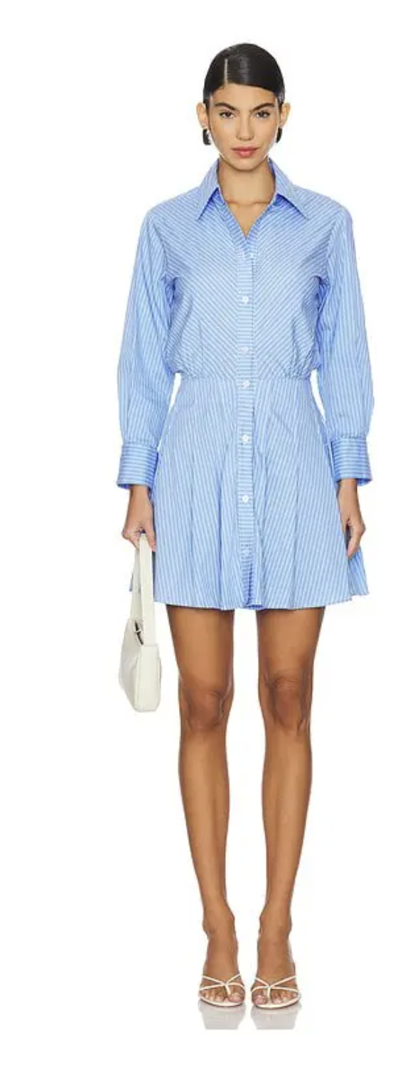 Karina Grimaldi Blair Pinstripe Mini Dress