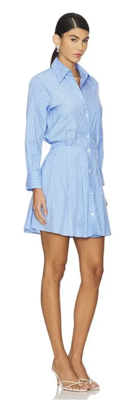 Karina Grimaldi Blair Pinstripe Mini Dress