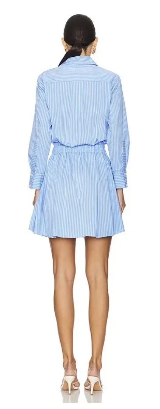 Karina Grimaldi Blair Pinstripe Mini Dress